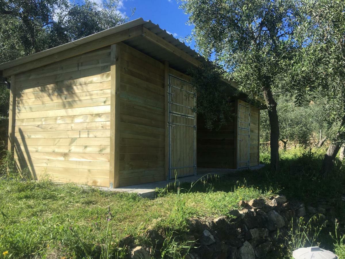 Agriturismo Oltrealmare Civezza Экстерьер фото